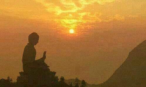 BRINGING BACK THE LOST WORLD